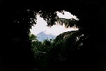 060  view from the cave to Mayon volcano.JPG
