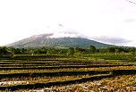069  paddy fields & Mayon volcano.JPG