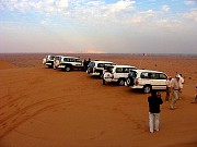 224  desert safari.jpg