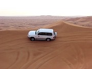 228  desert safari.jpg