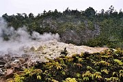 263  Kilauea sulphur stone.JPG